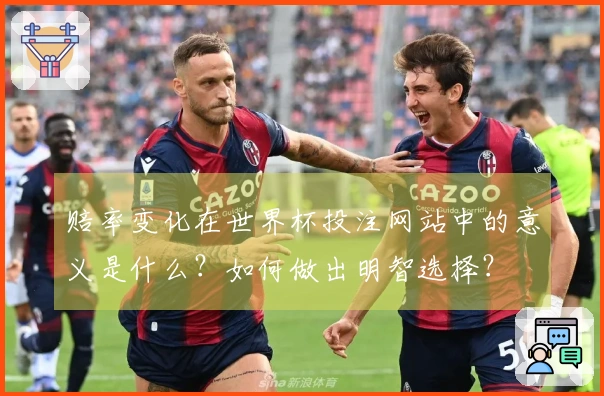 赔率变化在世界杯投注网站中的意义是什么？如何做出明智选择？