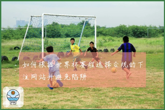 如何根据世界杯赛程选择合规的下注网站并避免陷阱