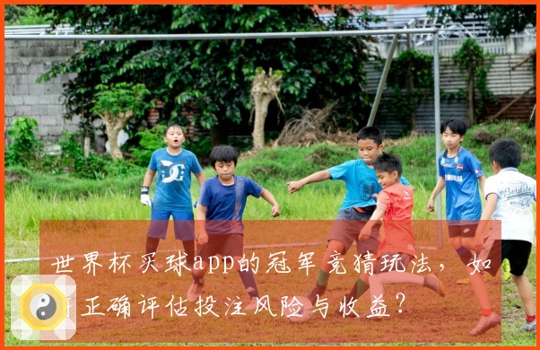 世界杯买球app的冠军竞猜玩法，如何正确评估投注风险与收益？